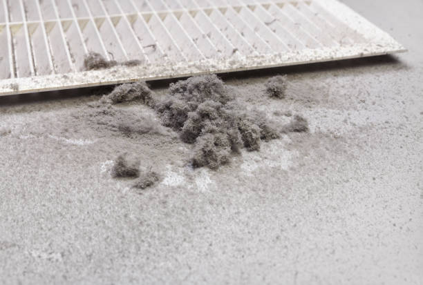 Best Affordable Duct Cleaning Services  in Harveys Lake, PA