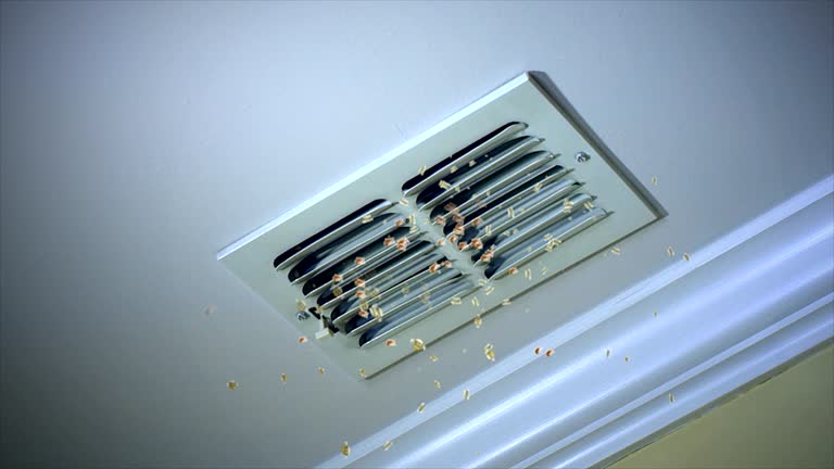 Best Local Air Duct Cleaning Services  in Harveys Lake, PA