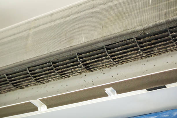 Best Air Duct Cleaning Near Me  in Harveys Lake, PA