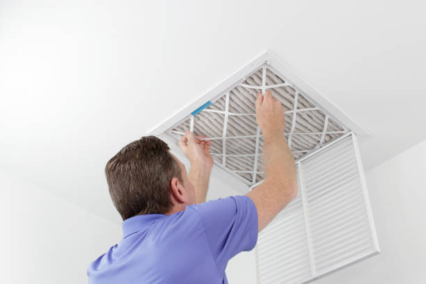 Best Air Duct Sanitizing Services  in Harveys Lake, PA